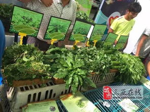 三亞市扶貧農(nóng)產(chǎn)品展銷會 農(nóng)副產(chǎn)品引圍觀，創(chuàng)意無限人潮涌動